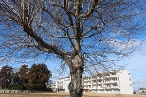 0122(5)