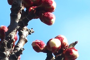0122(12) 0122(12)