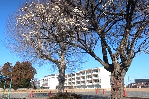 0201(1)