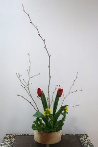 0206(2)