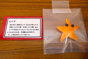 0207(4) 0207(4)