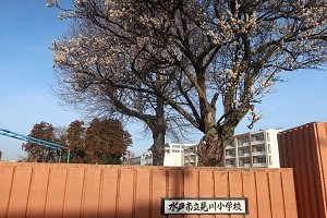 0215(1)