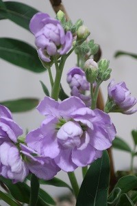 0222(1)