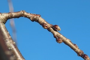 0228(2) 0228(2)