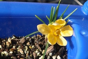 0228(5)