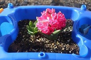 0228(7)