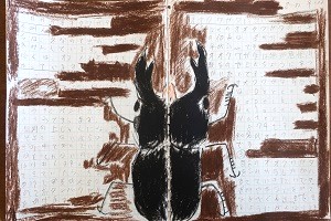 0311(22) 0311(22)
