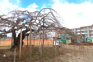 0321(4)