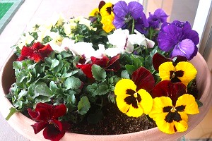 0321(12)