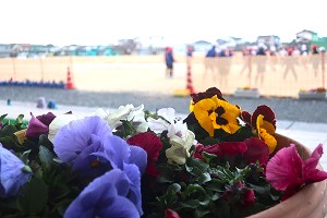 0321(13) 0321(13)