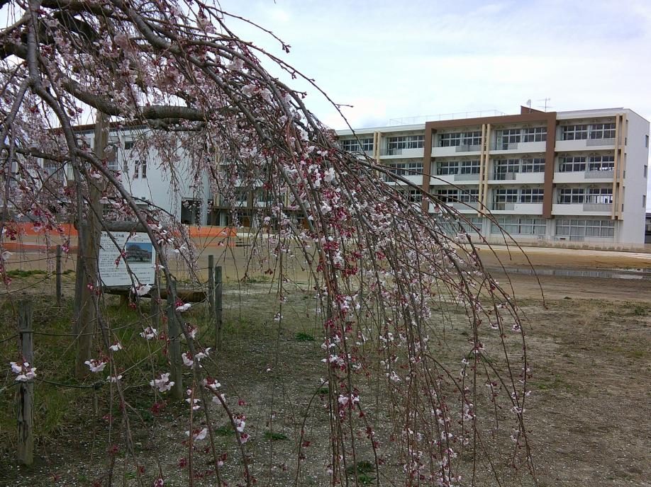 DSCF0011