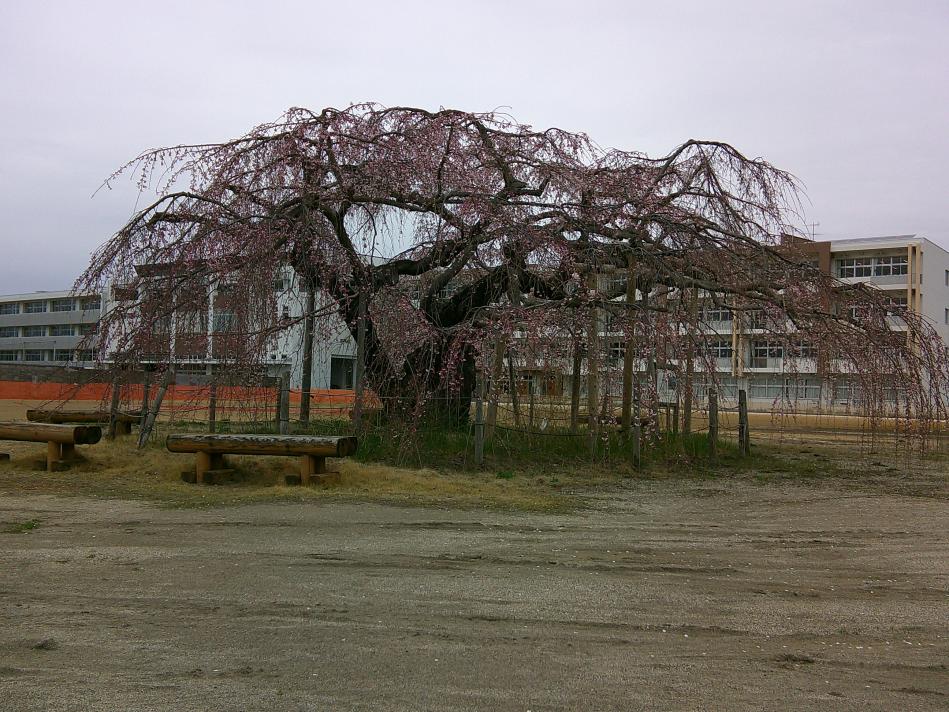 DSCF0016