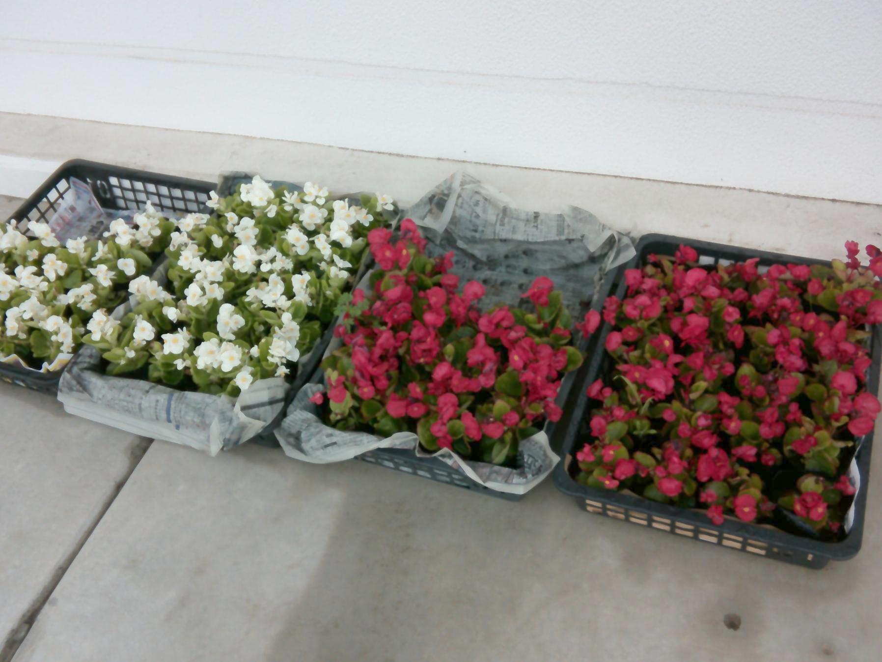 DSCF0445