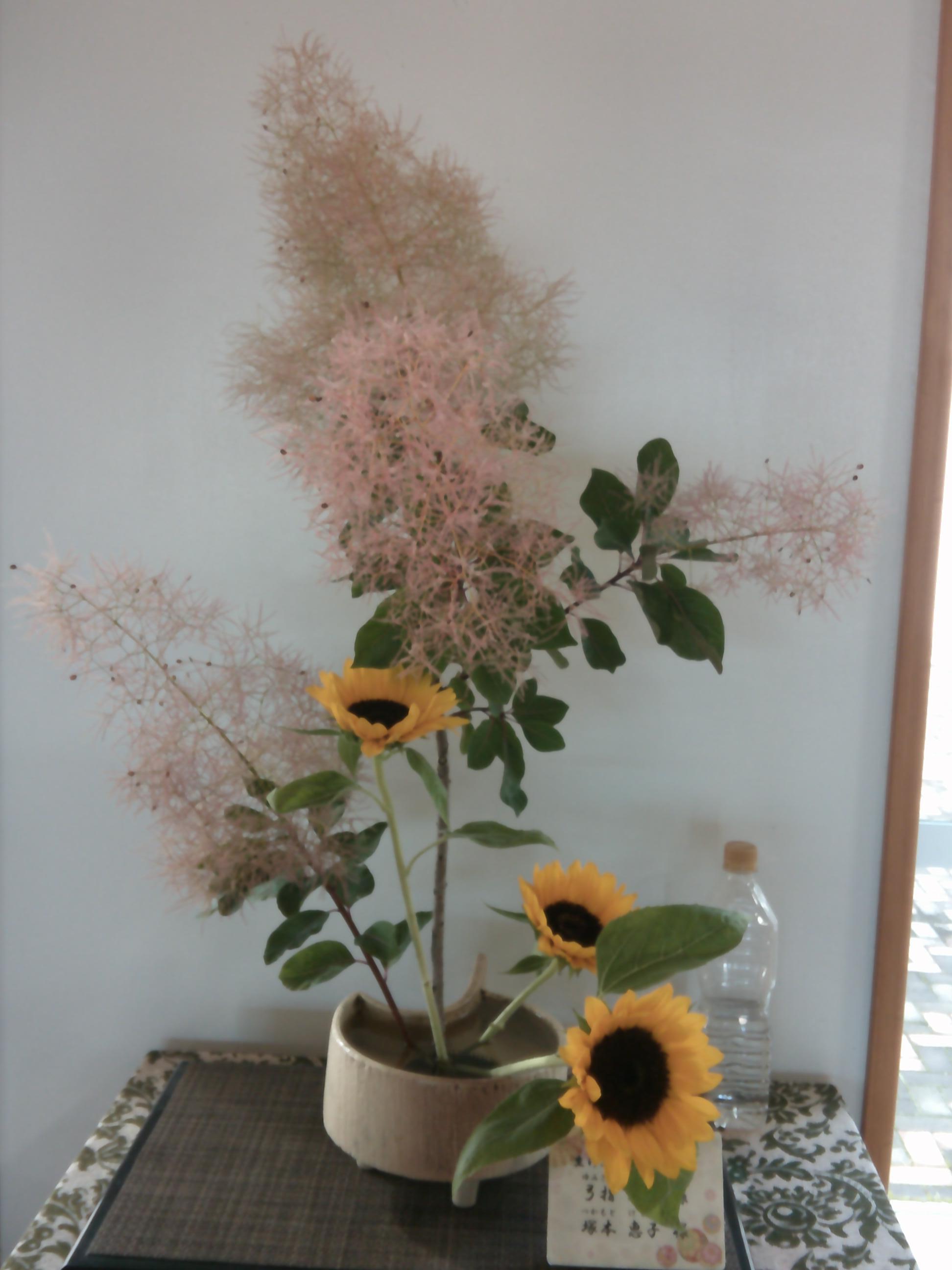 DSCF0737