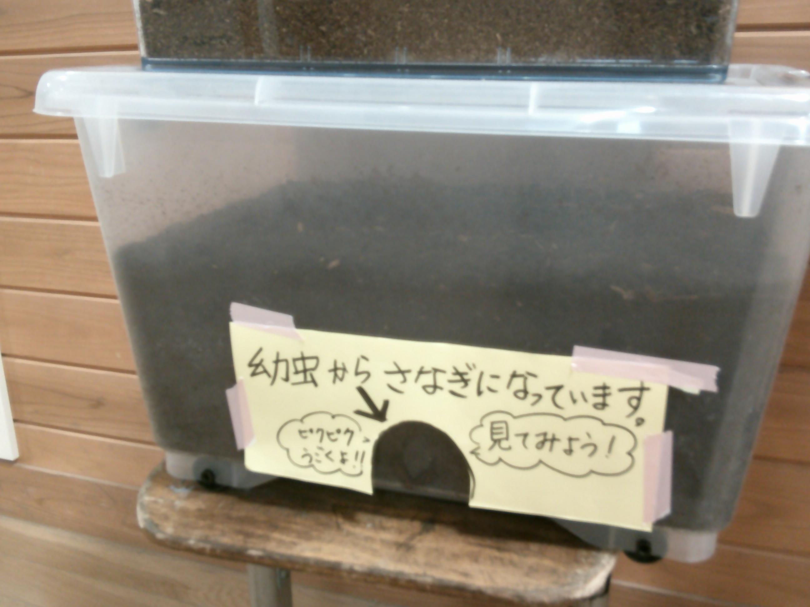 DSCF0885