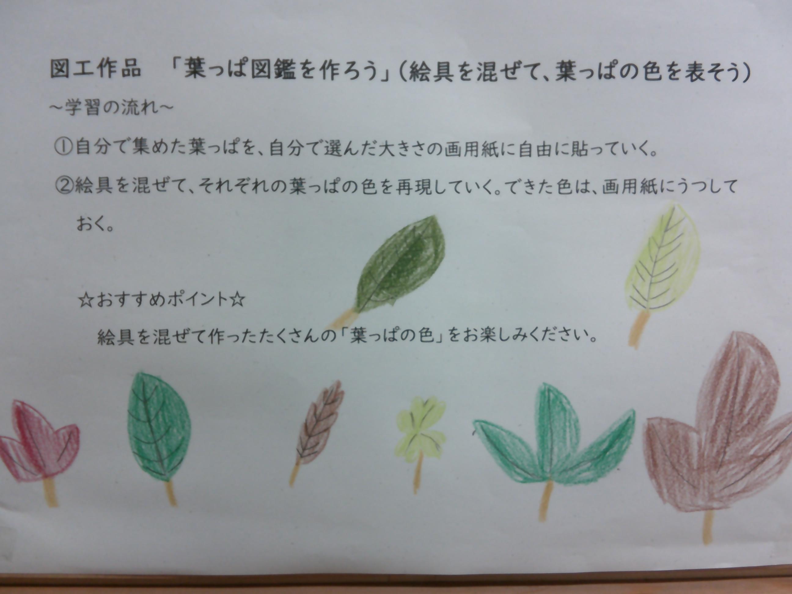 DSCF0874