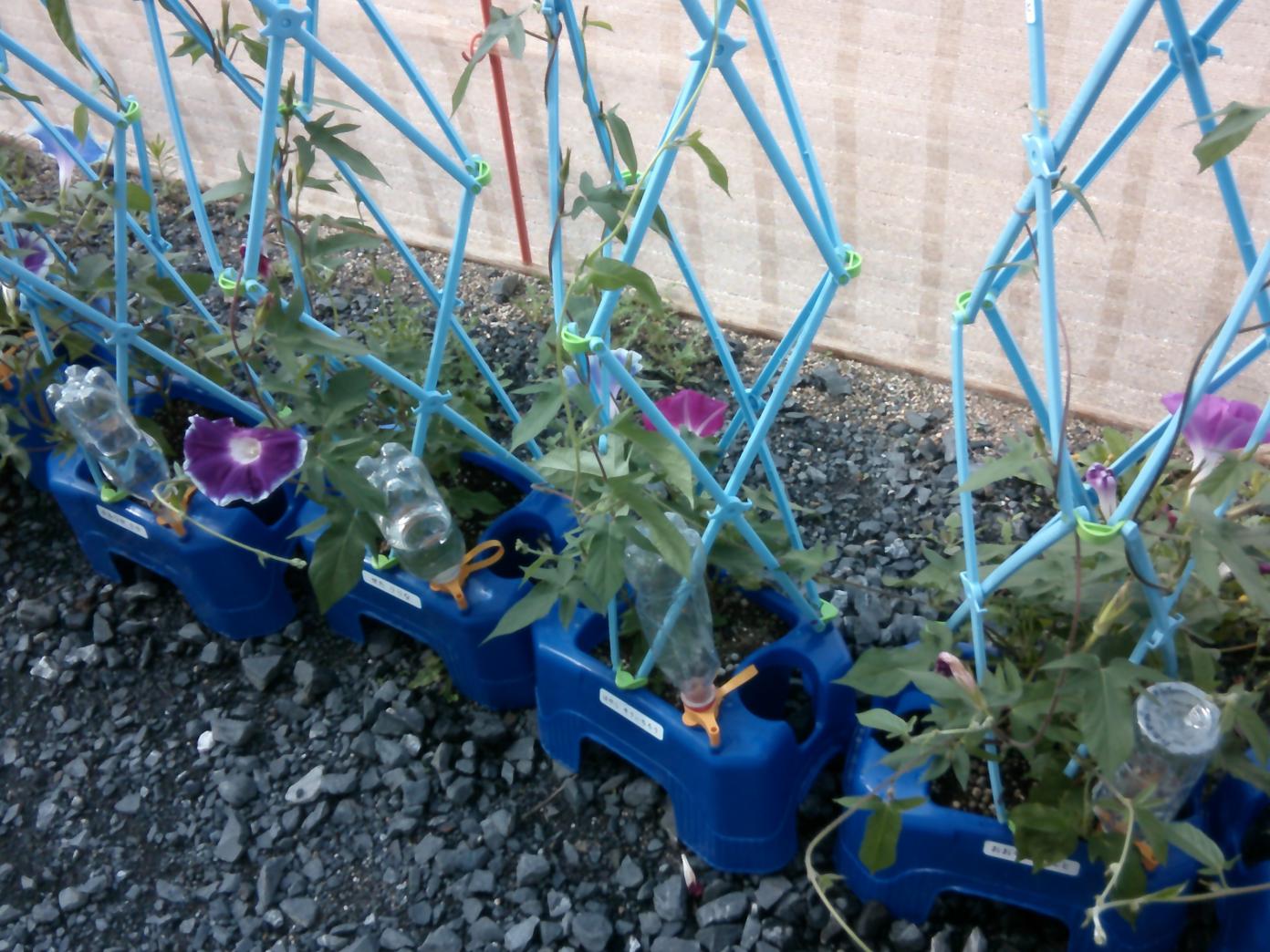DSCF0940 DSCF0940