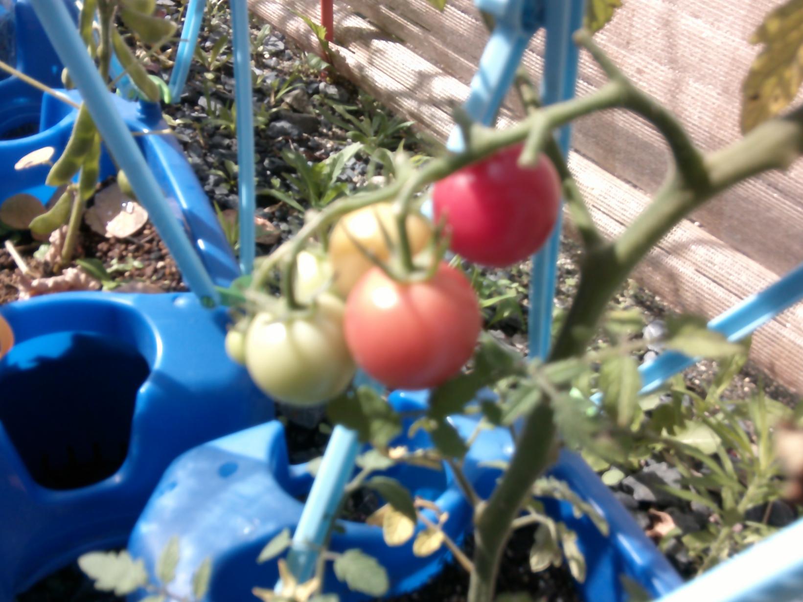 DSCF0942