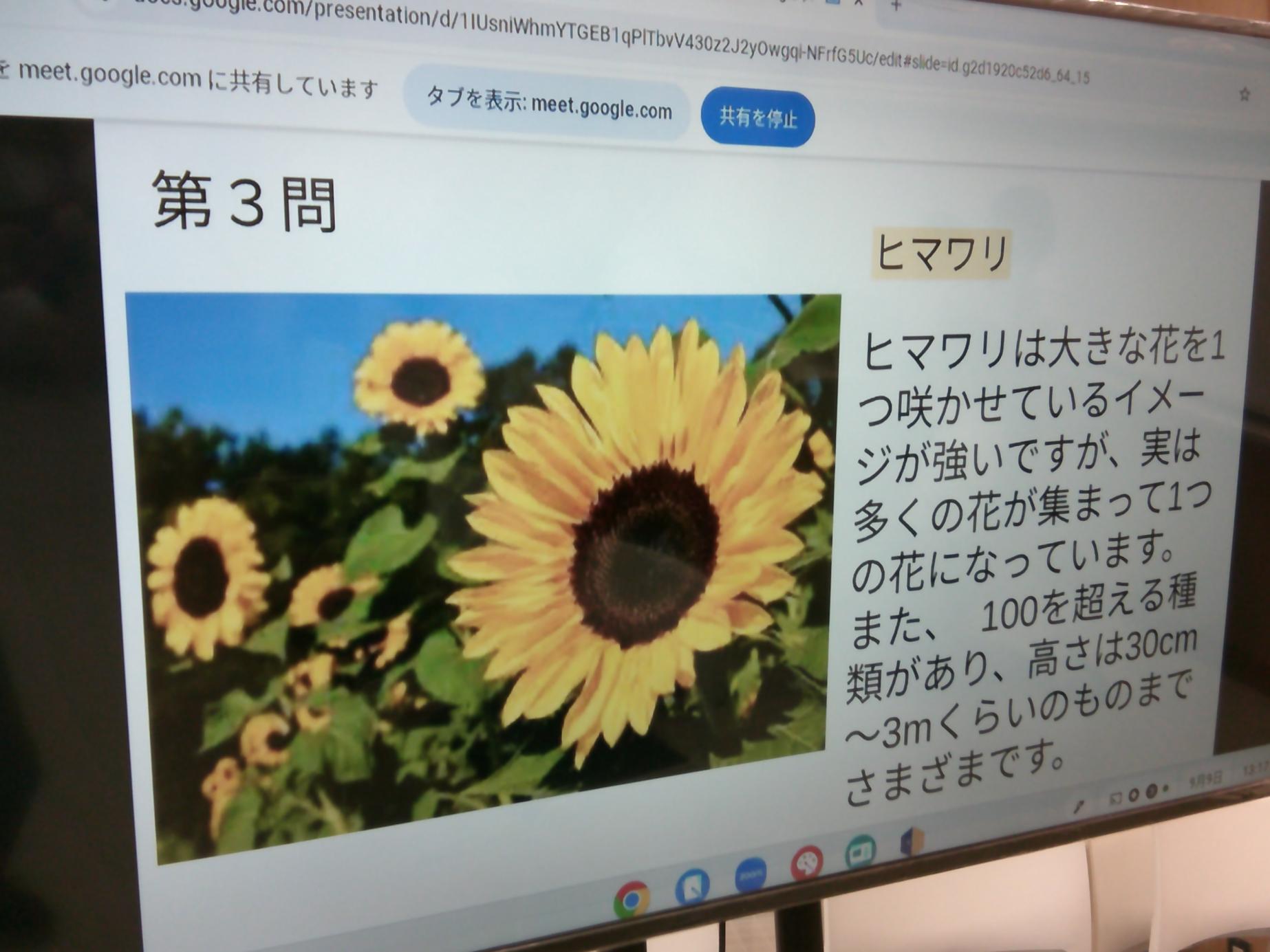 DSCF0703