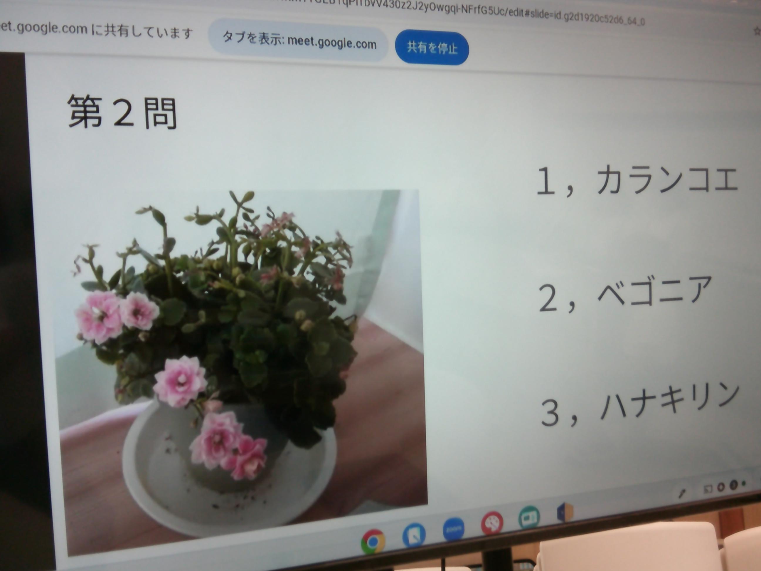 DSCF0706 DSCF0706