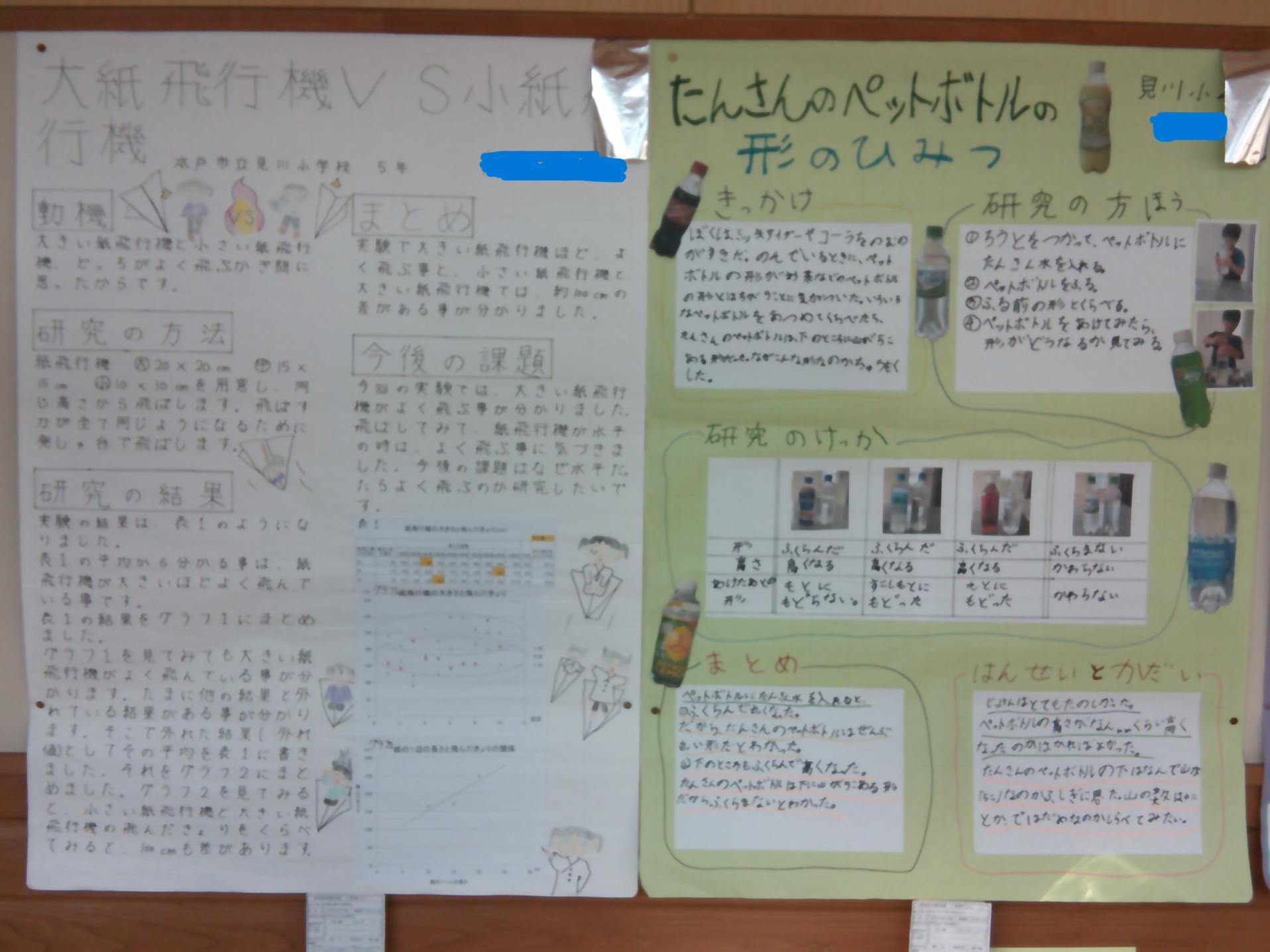 DSCF0772 DSCF0772