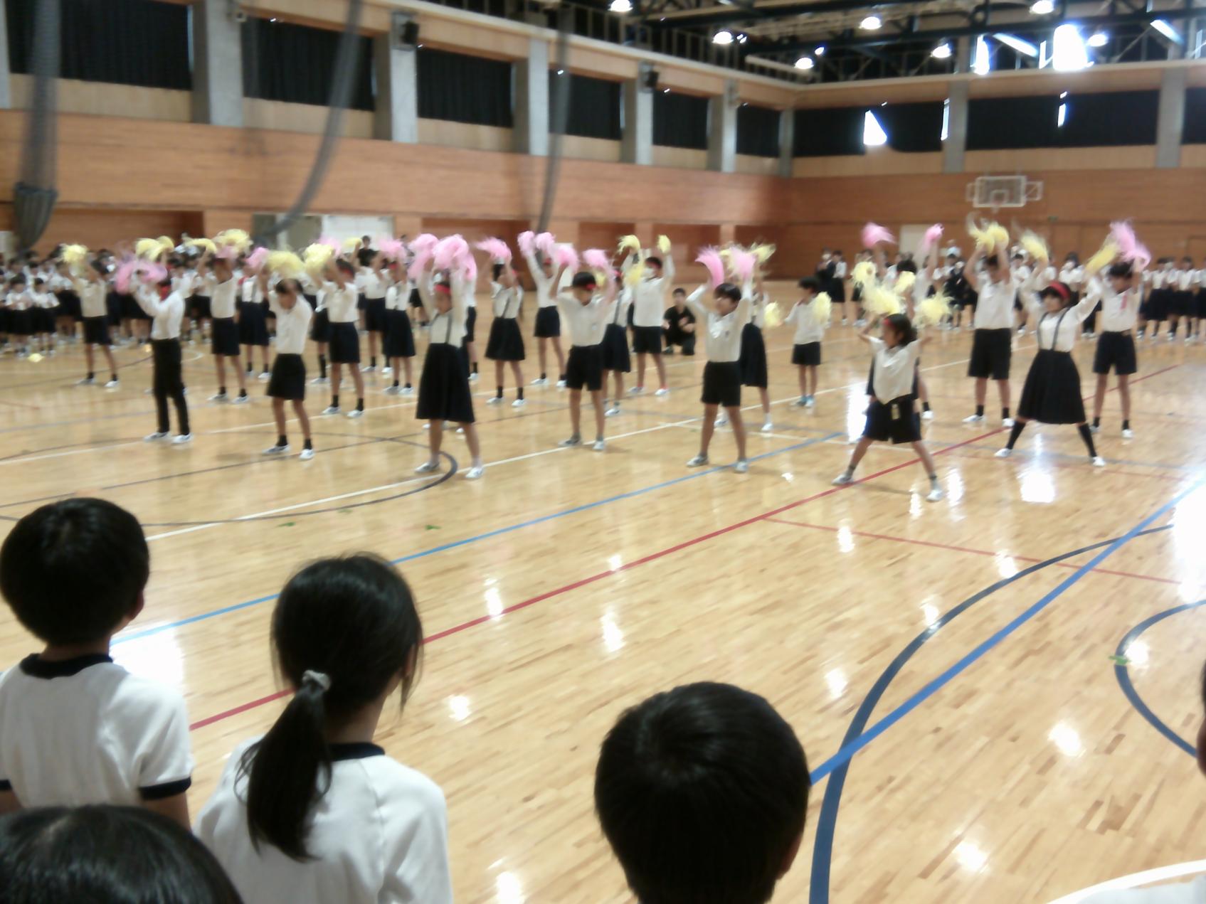 DSCF0324