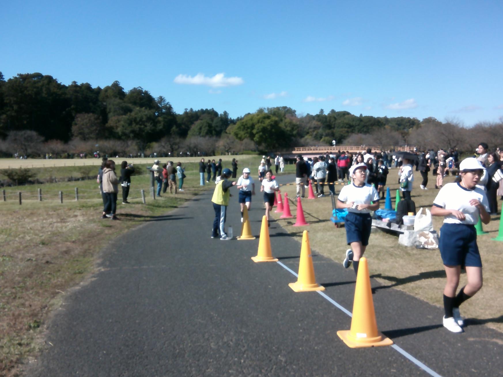 DSCF0066 DSCF0066