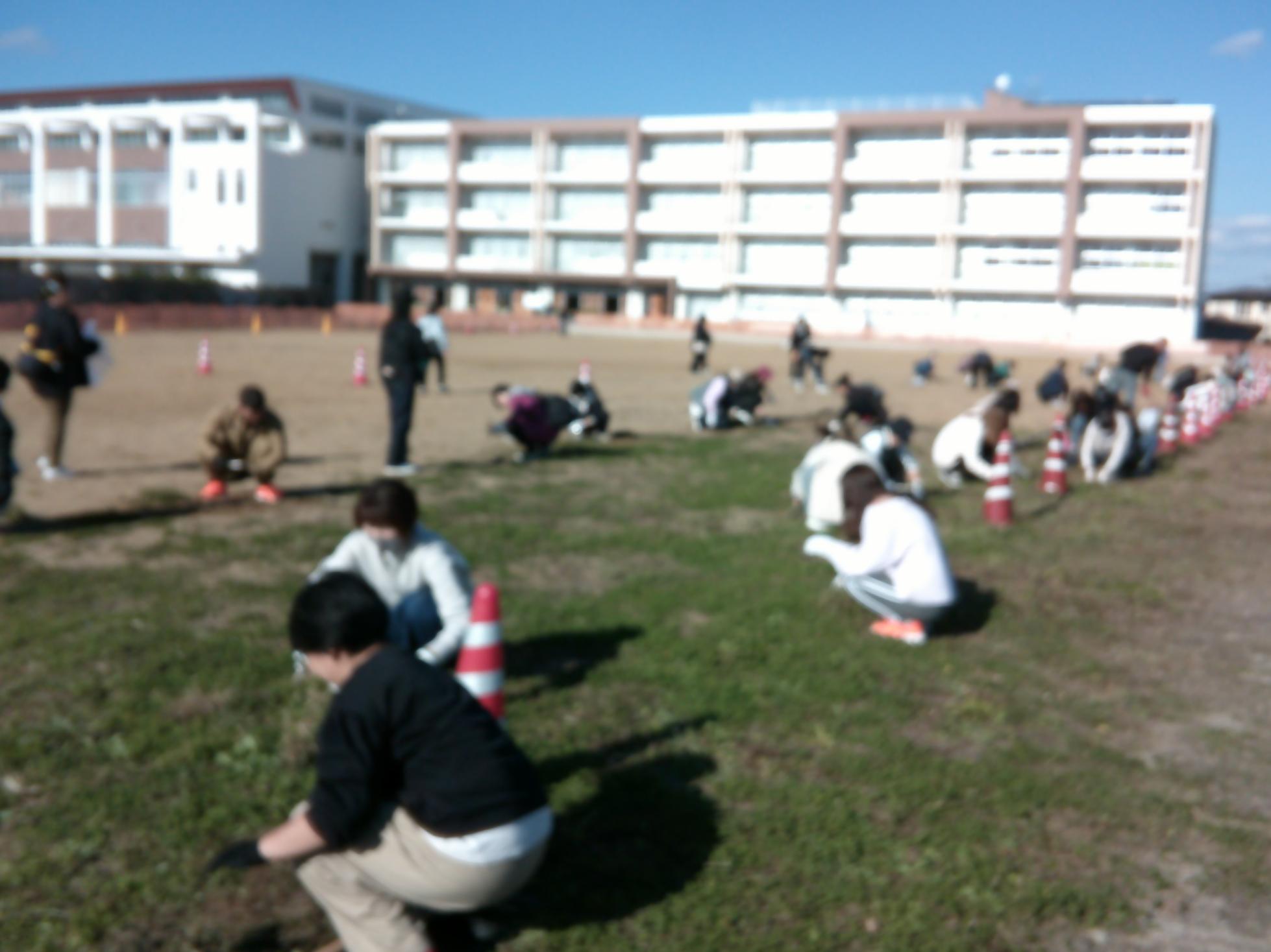 DSCF0074 DSCF0074