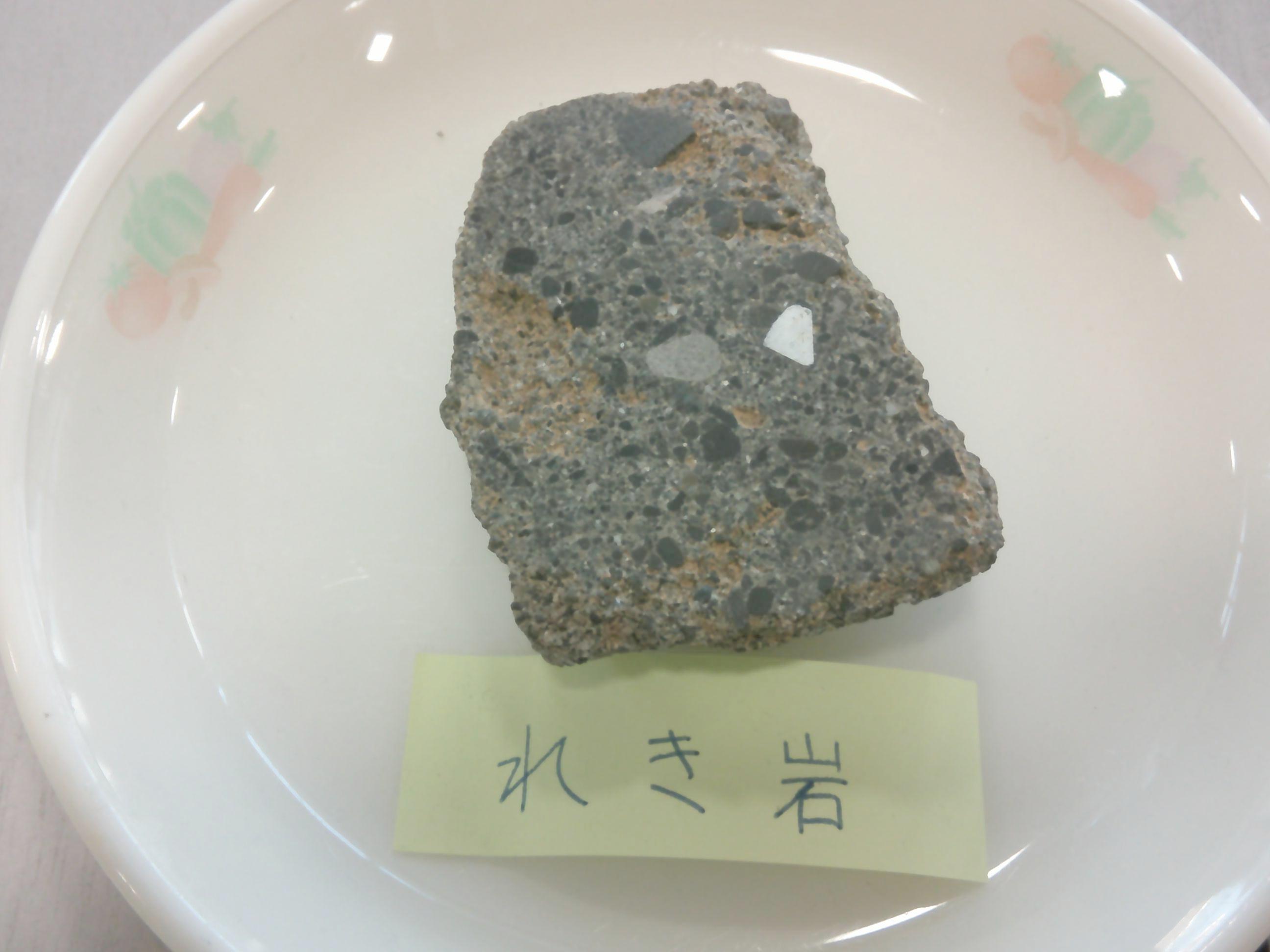 DSCF0031 DSCF0031