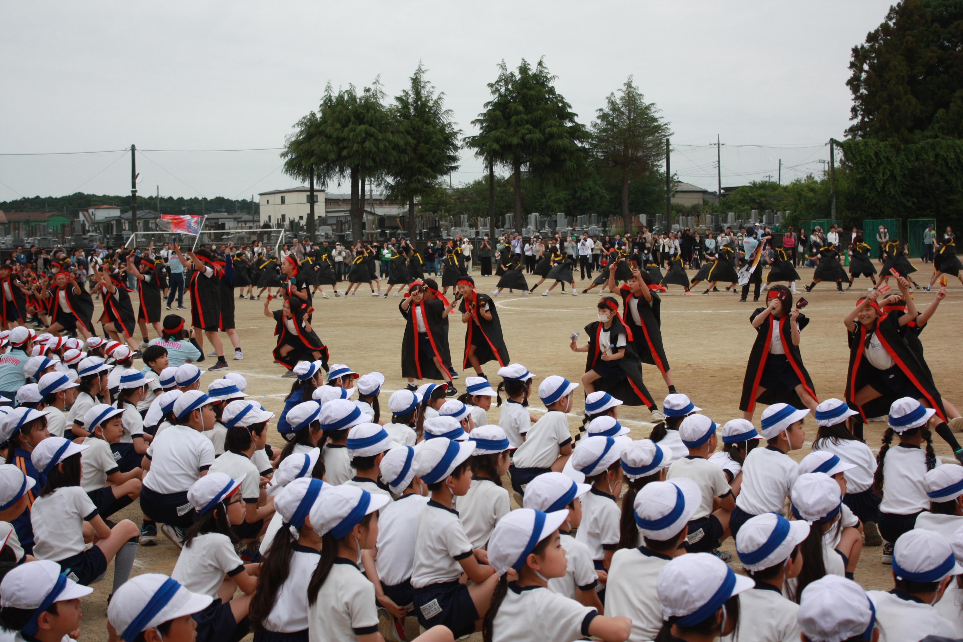 IMG_6726