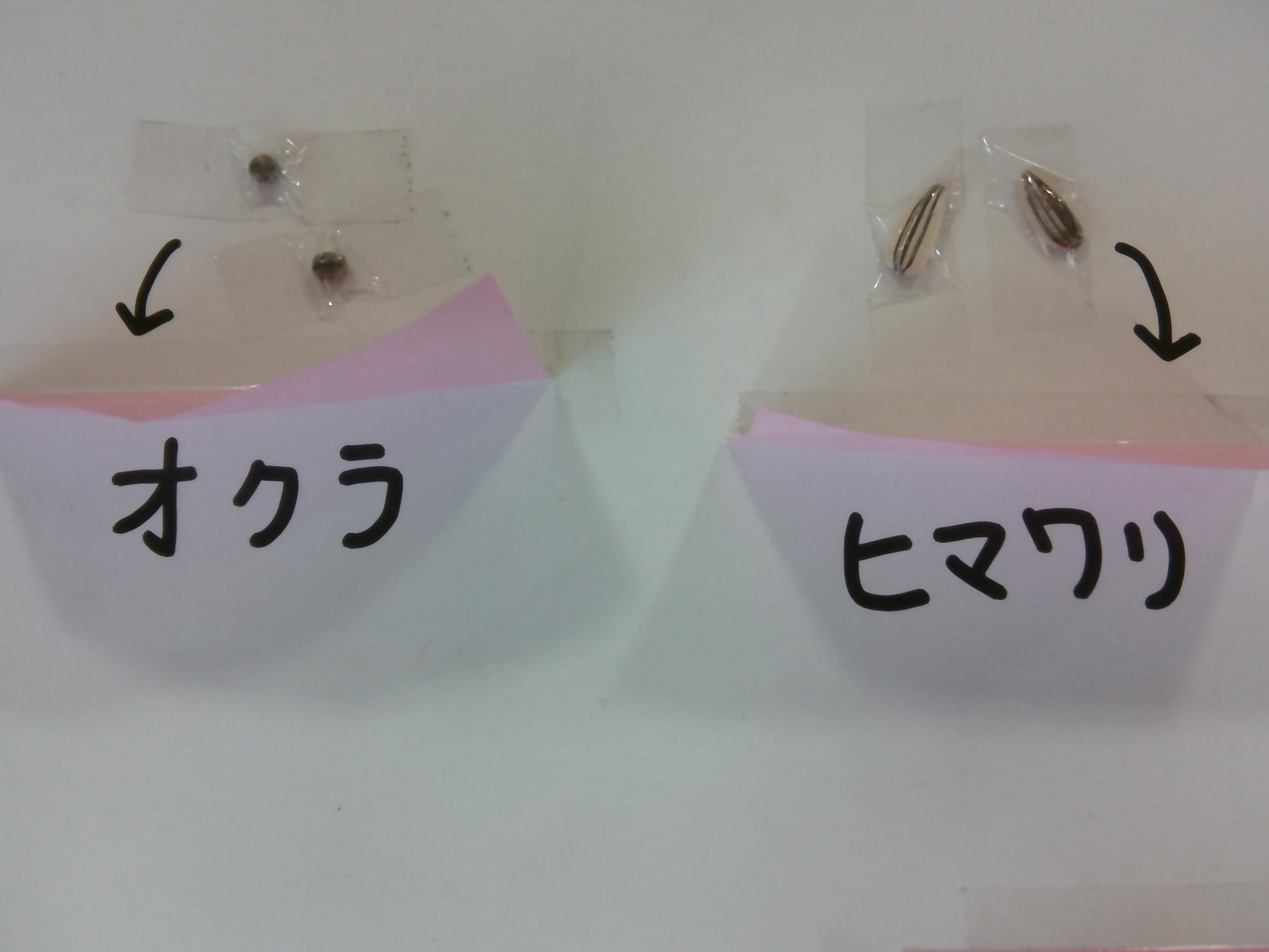 DSCF0229