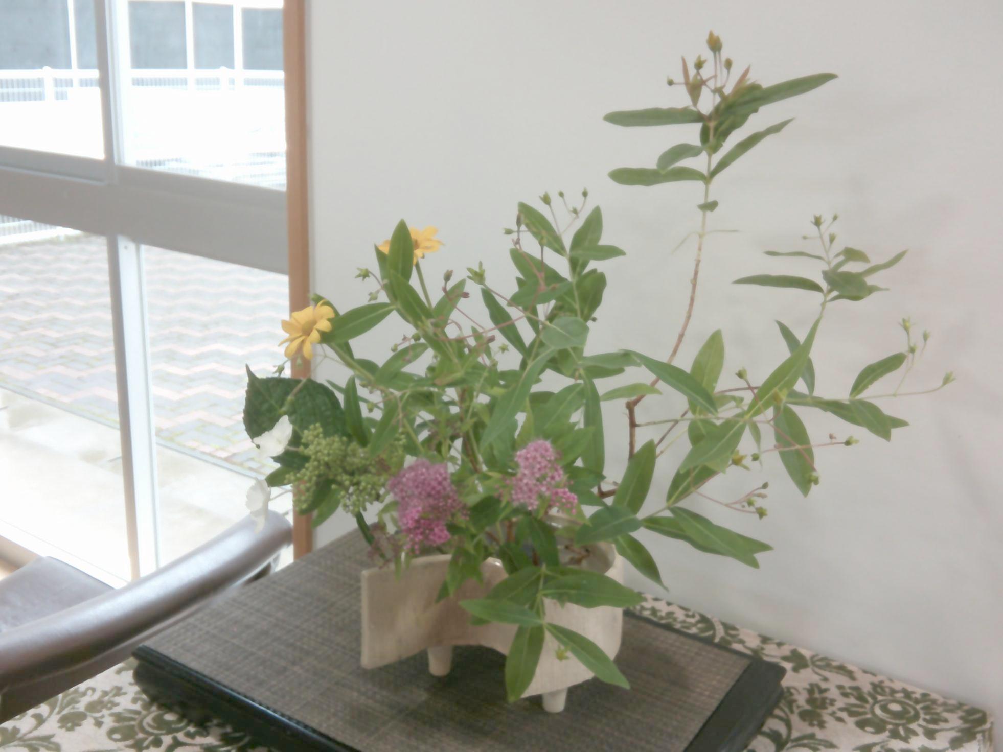 DSCF0248
