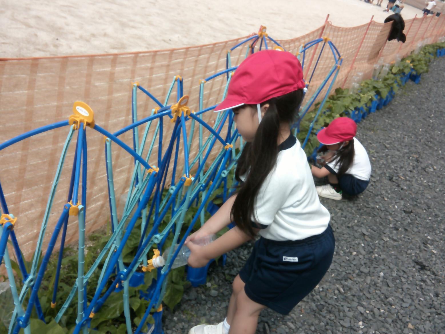 DSCF0274