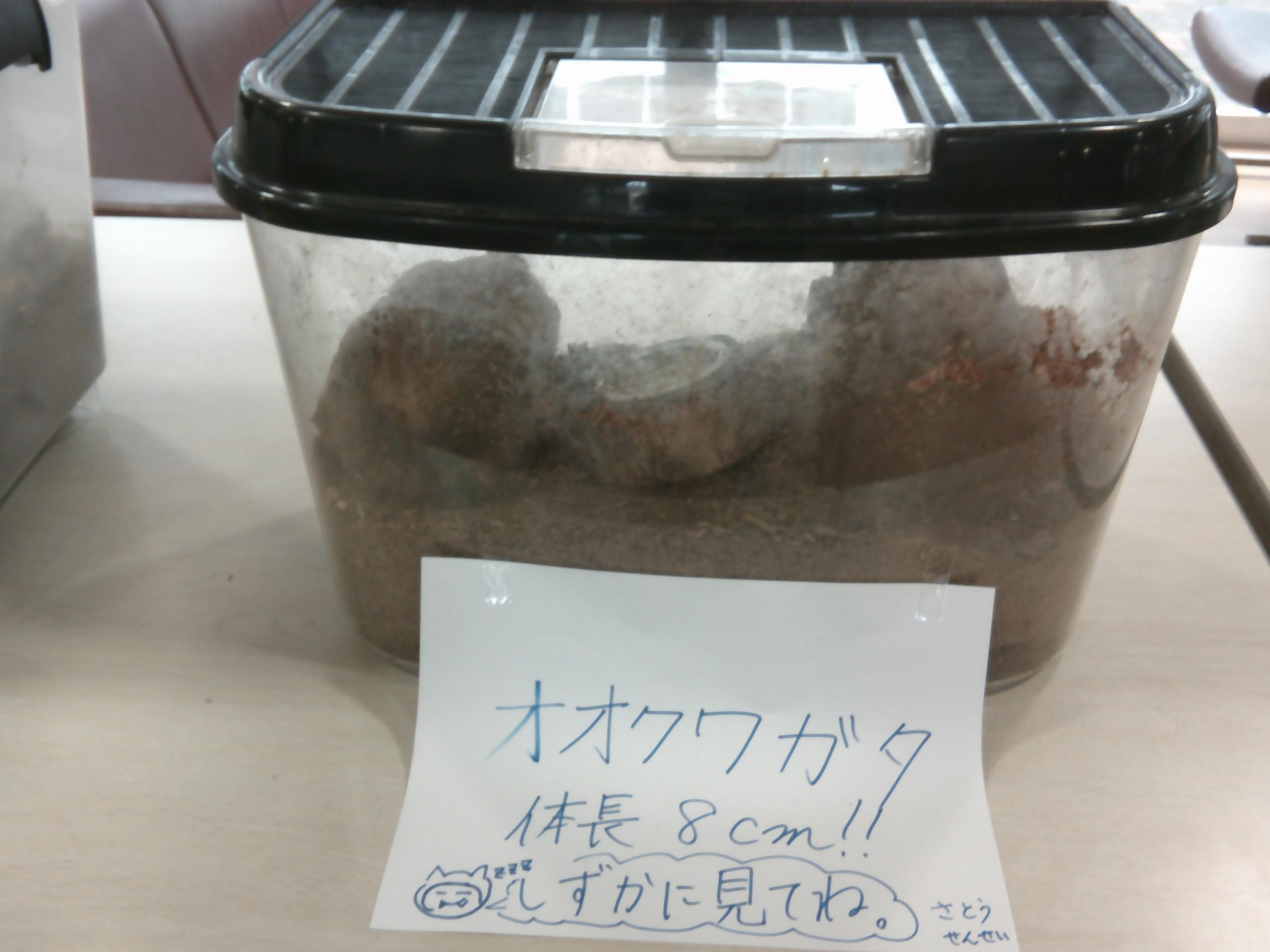 DSCF0339