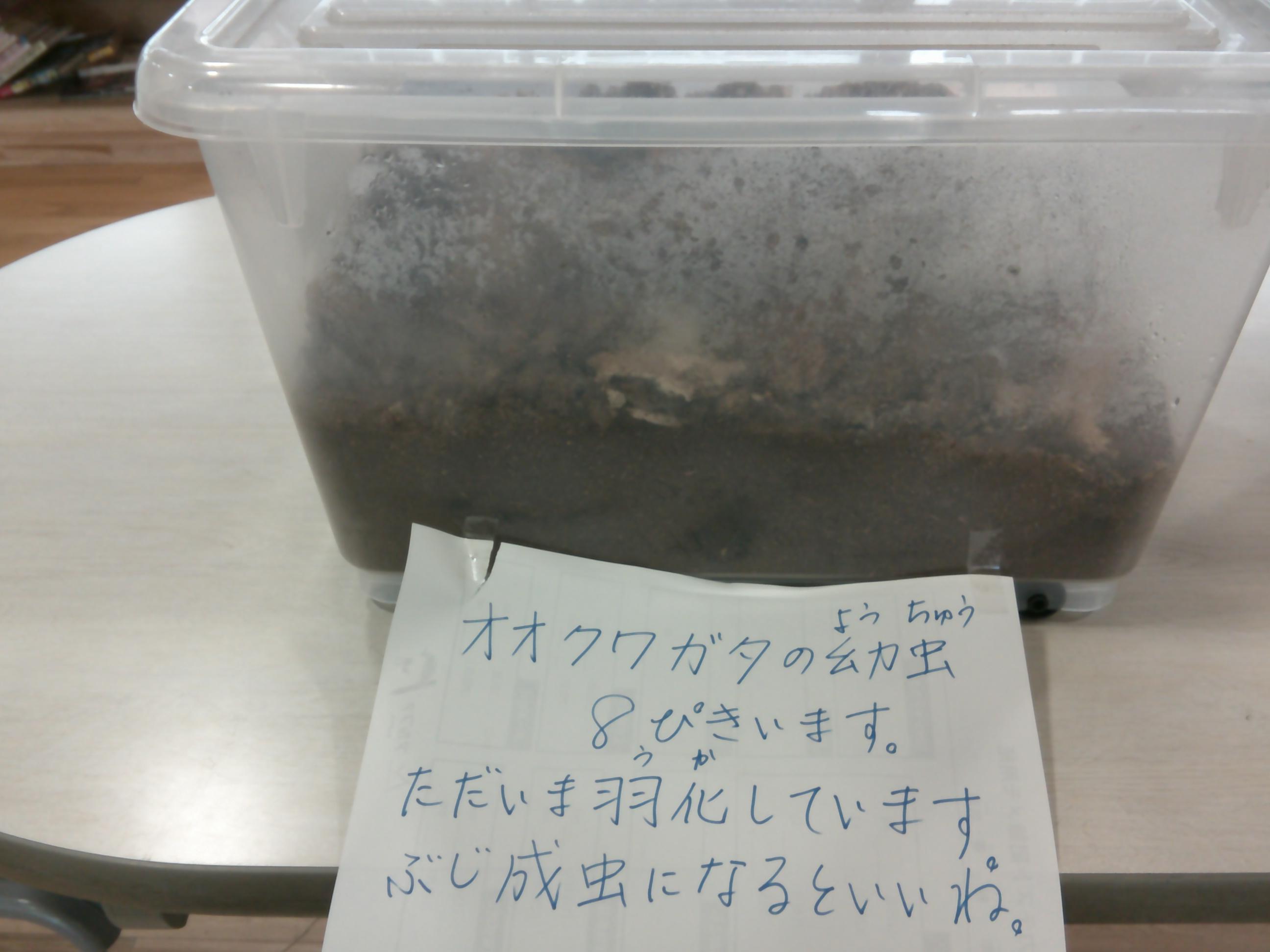 DSCF0338