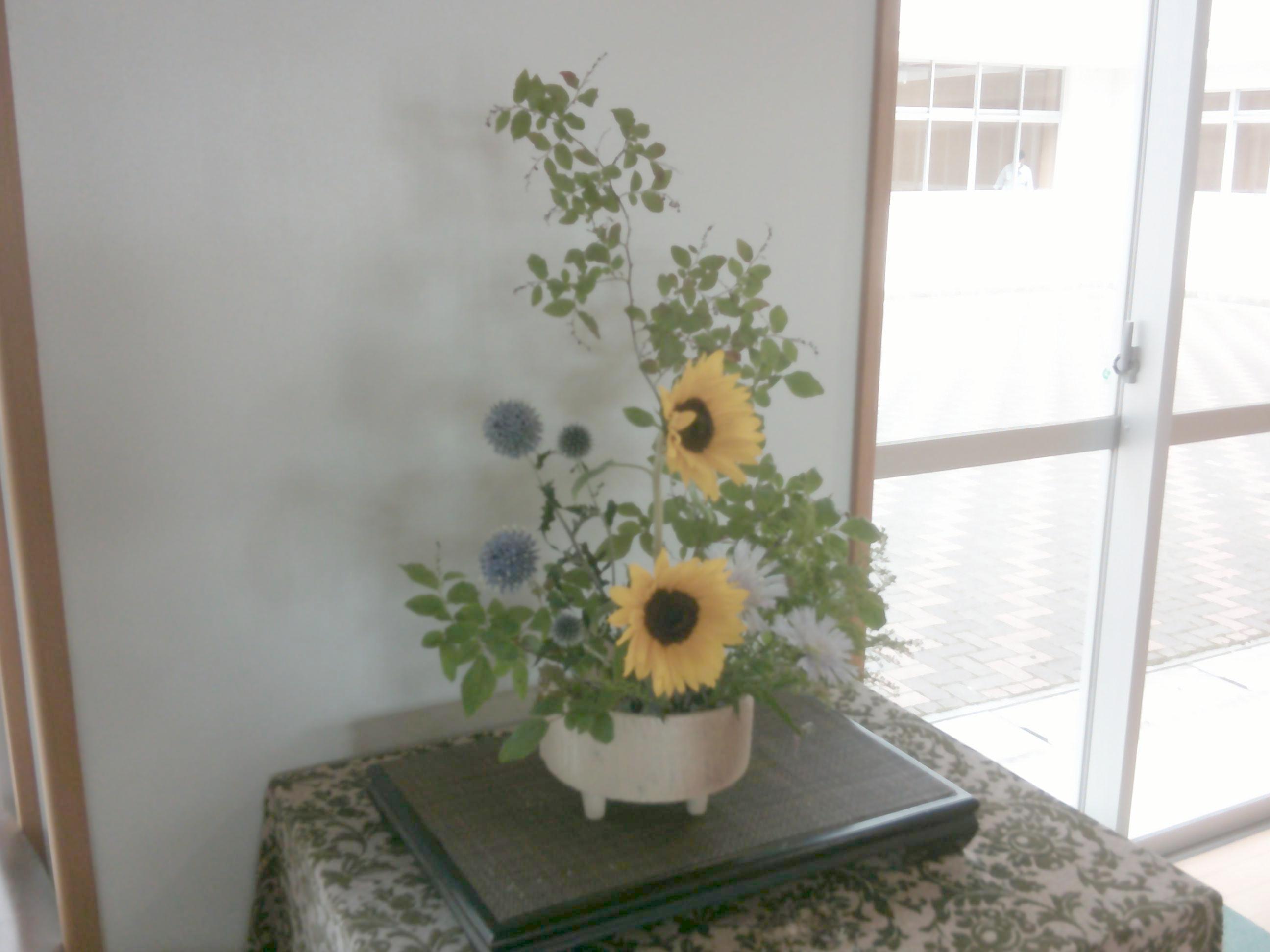 DSCF0042