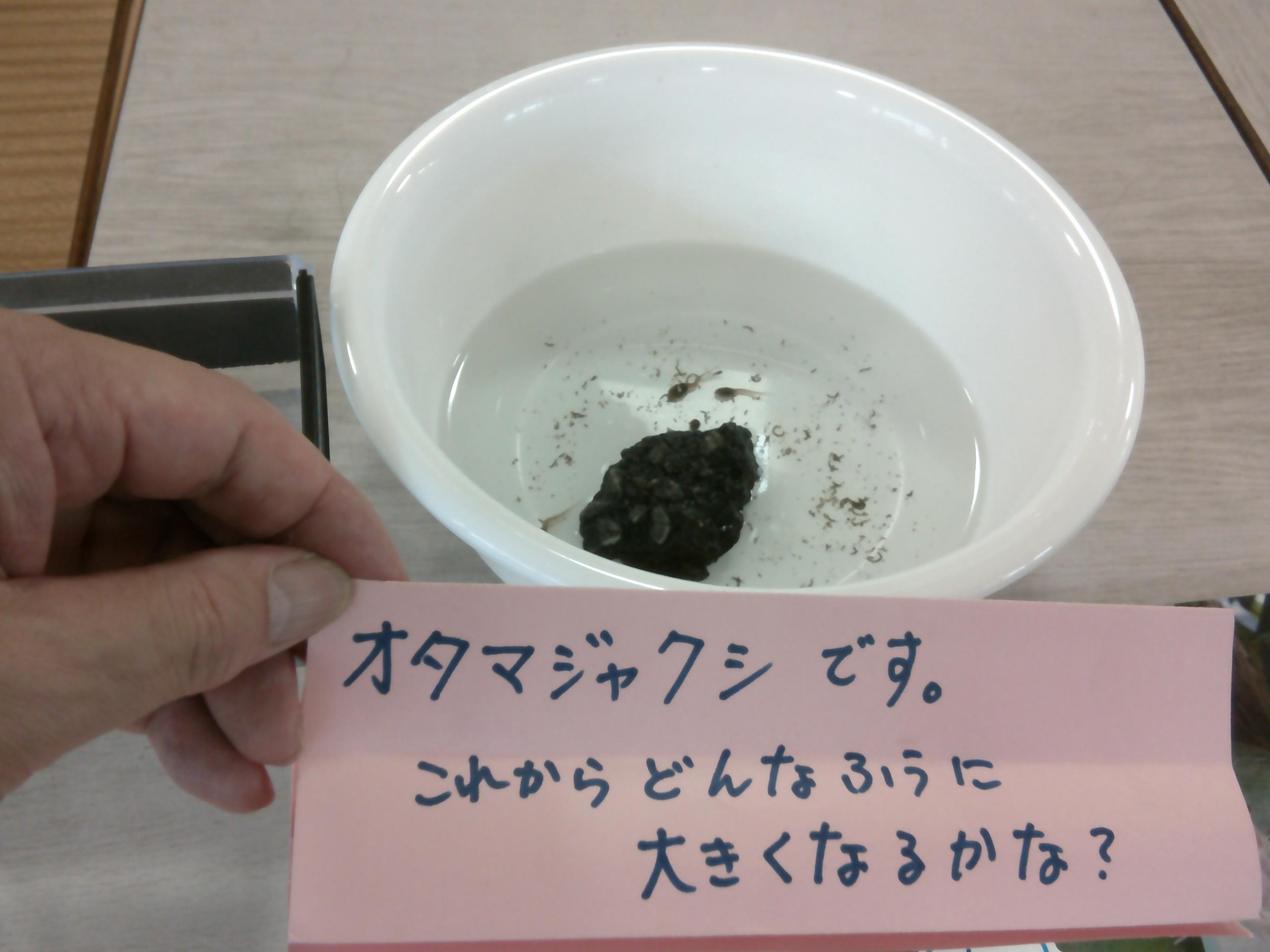 DSCF0044