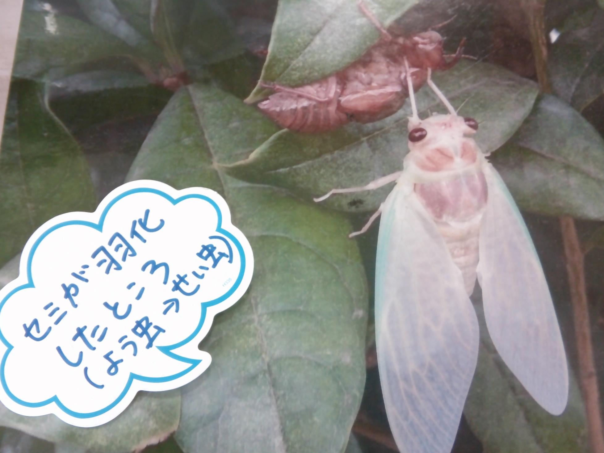 DSCF0048