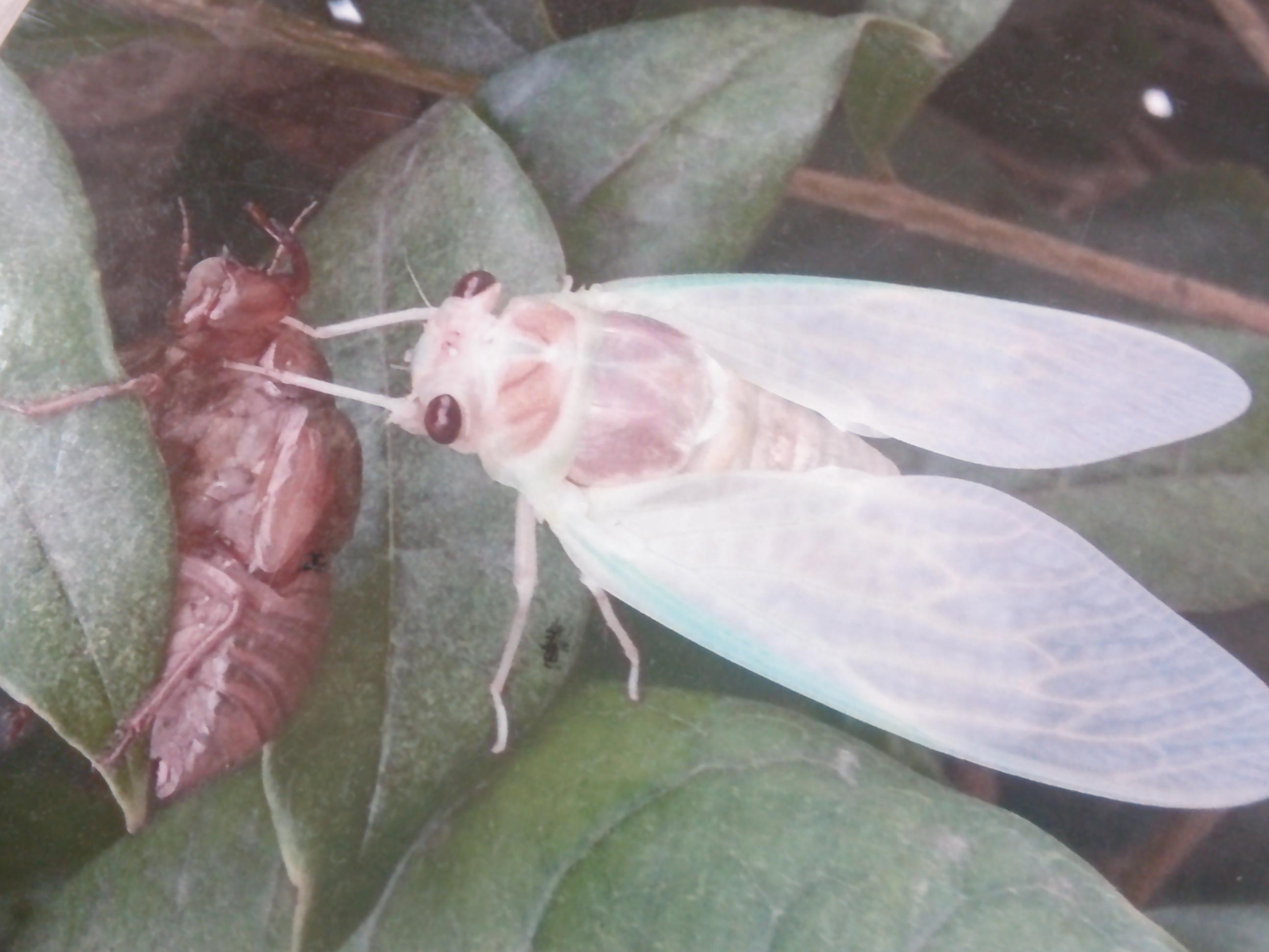 DSCF0049