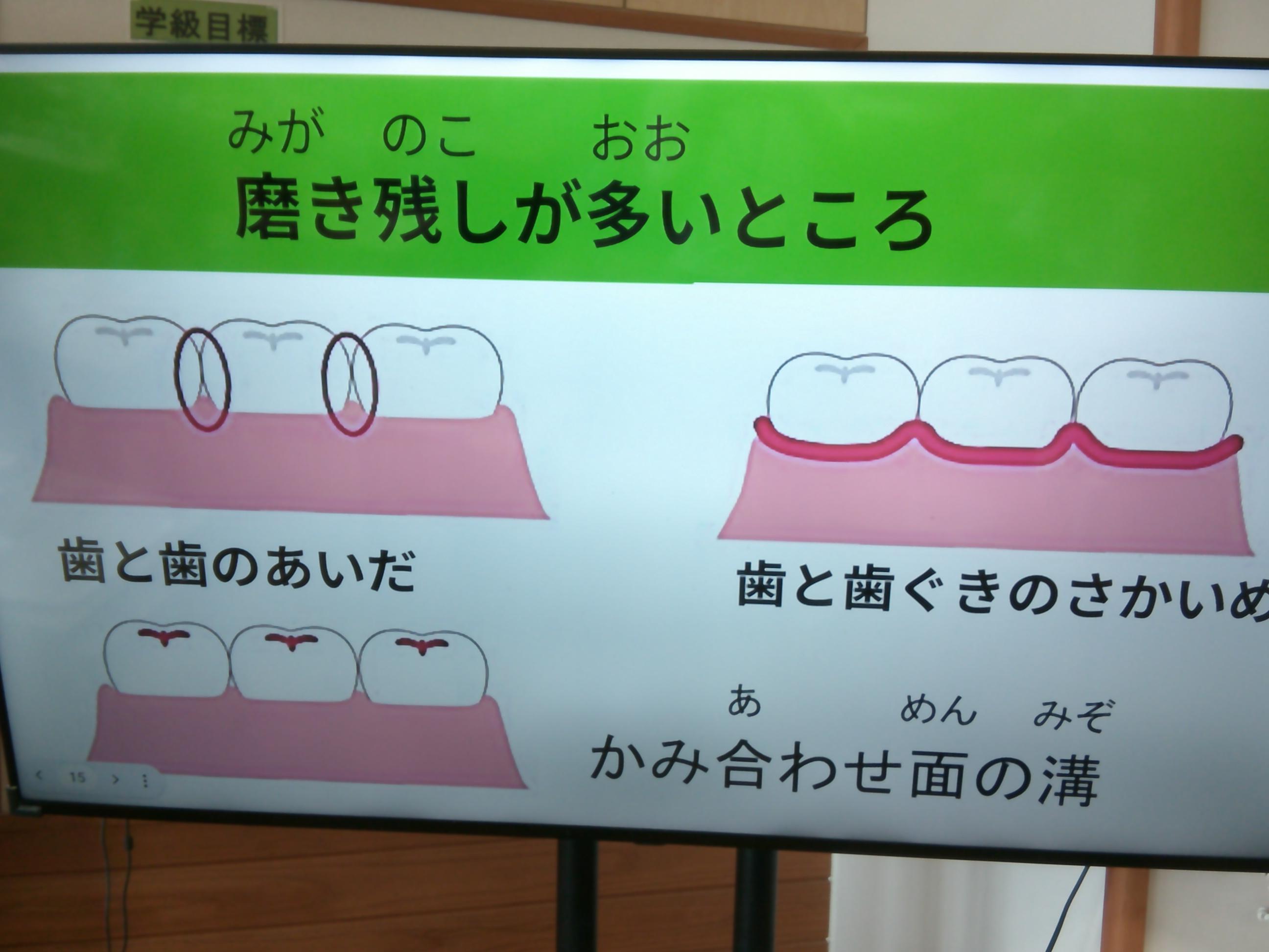 DSCF0011
