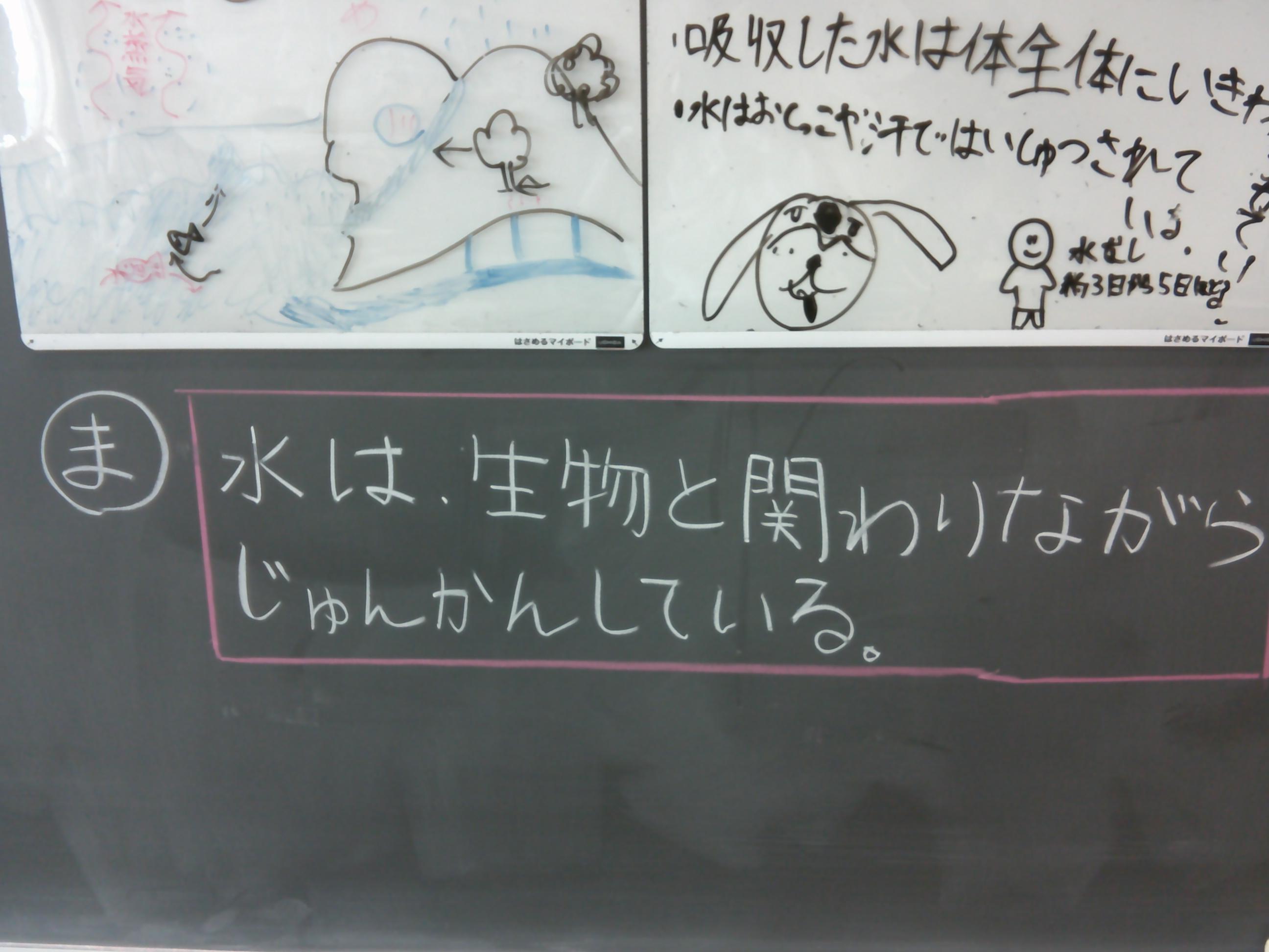 DSCF0155