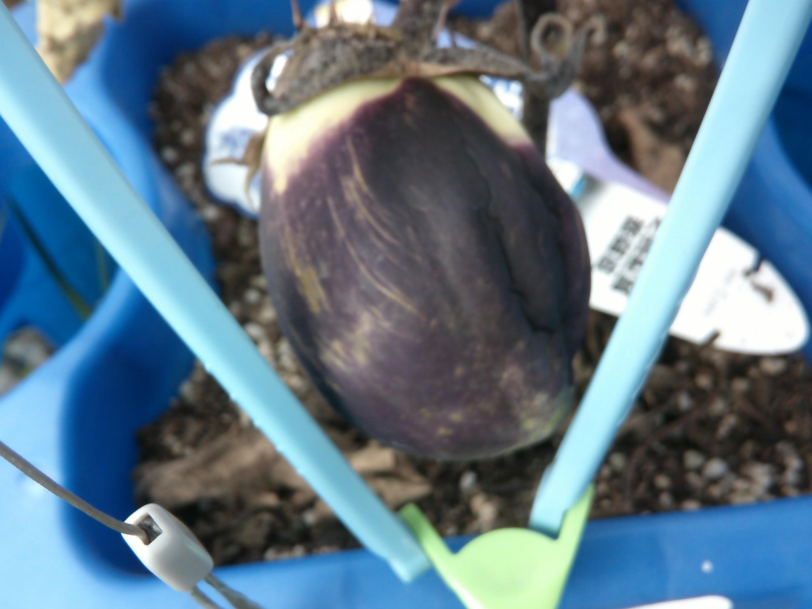 DSCF0095