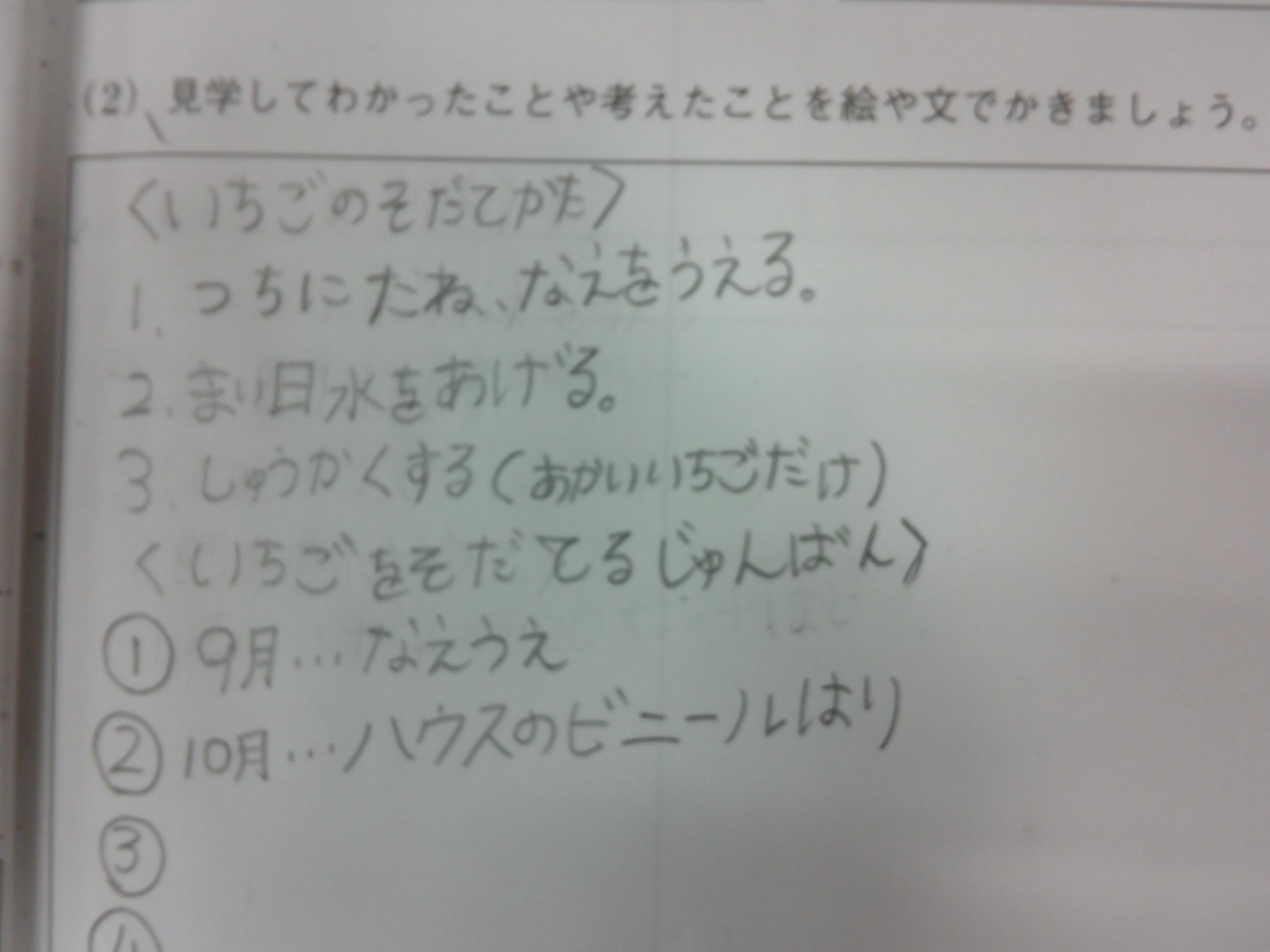 DSCF0040