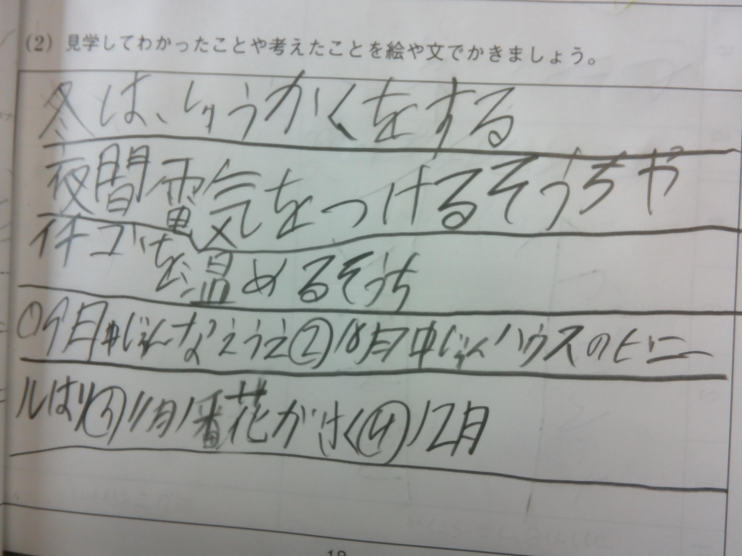 DSCF0031