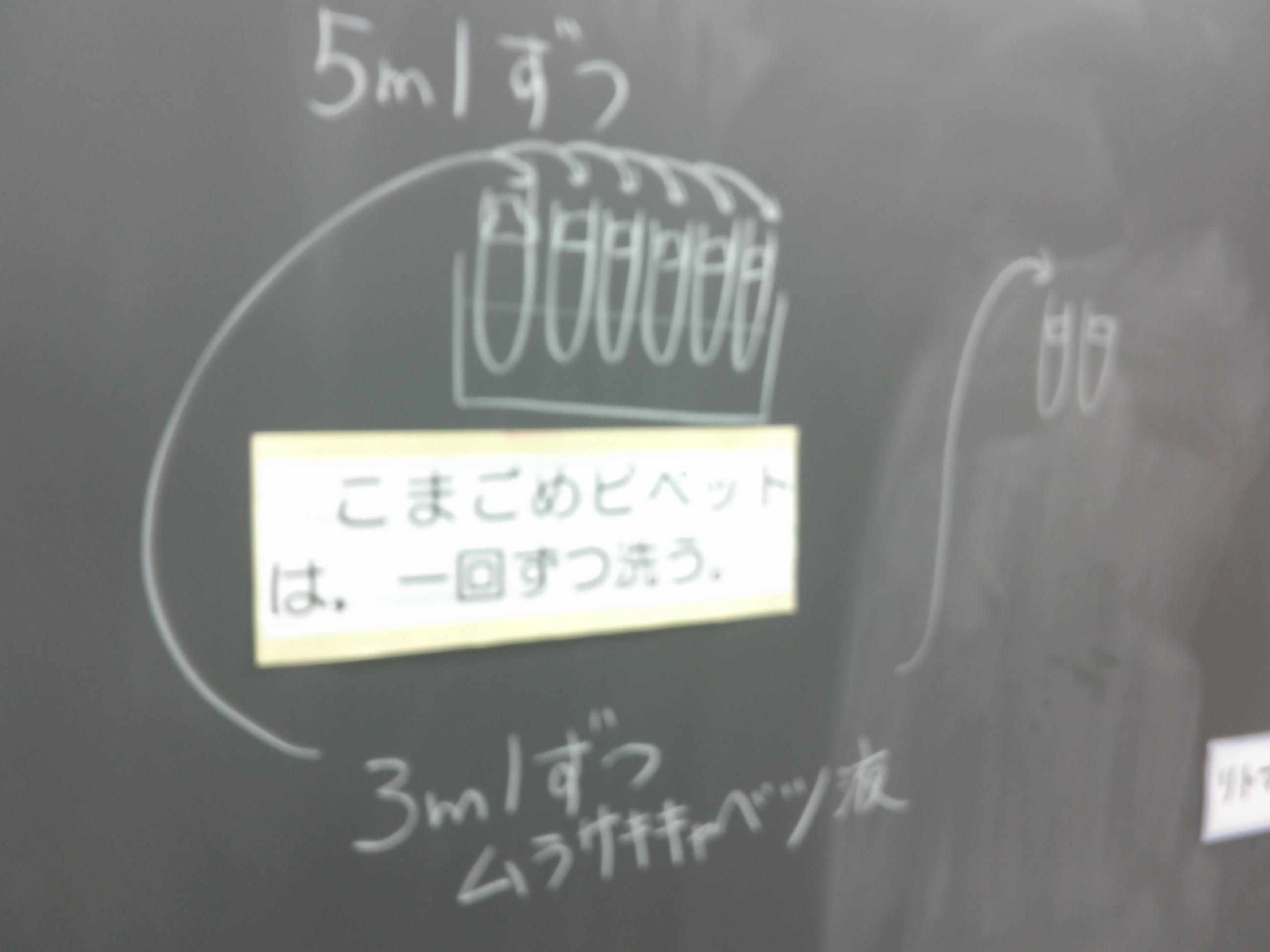DSCF0029 DSCF0029