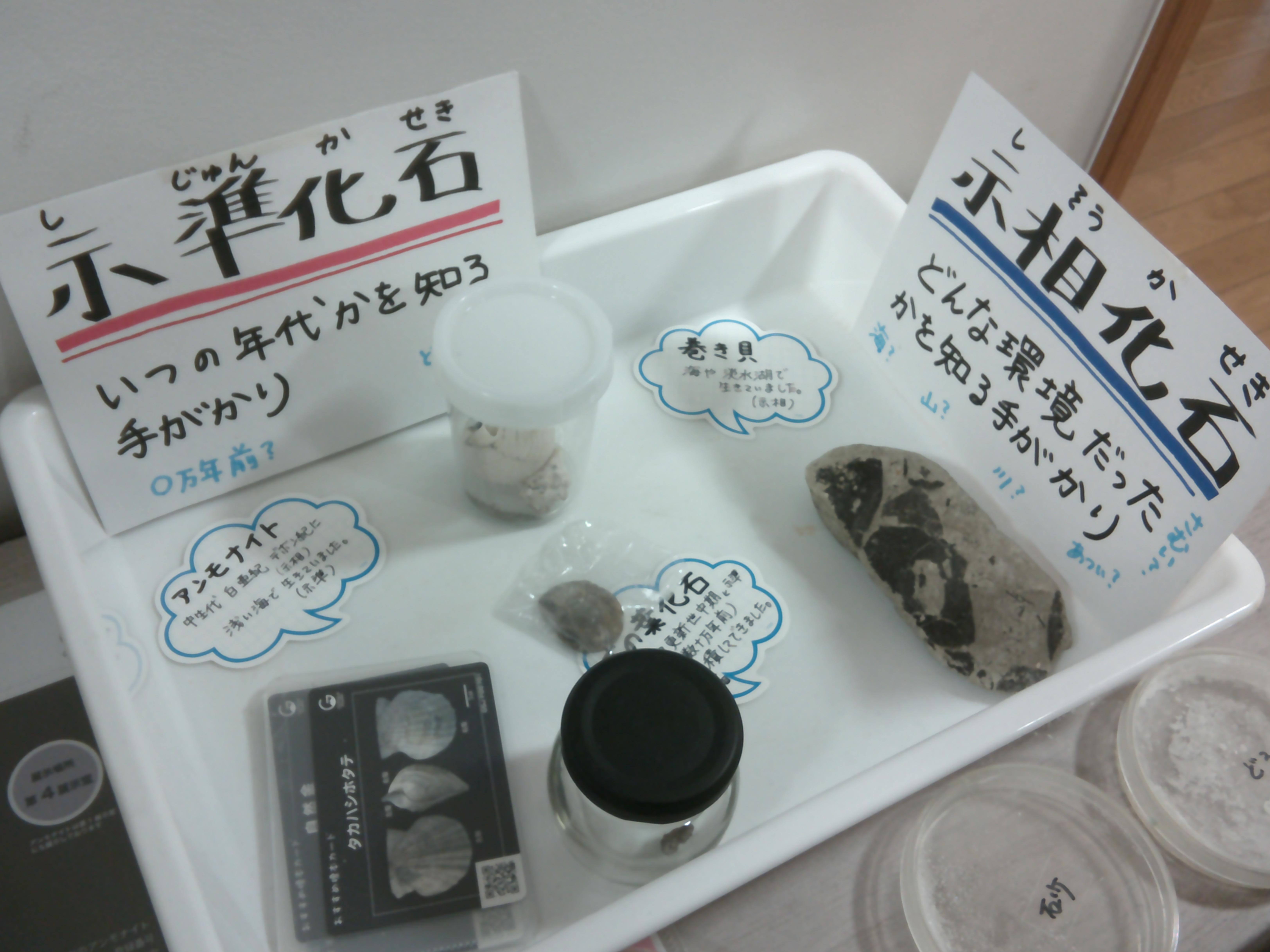 DSCF0008 DSCF0008