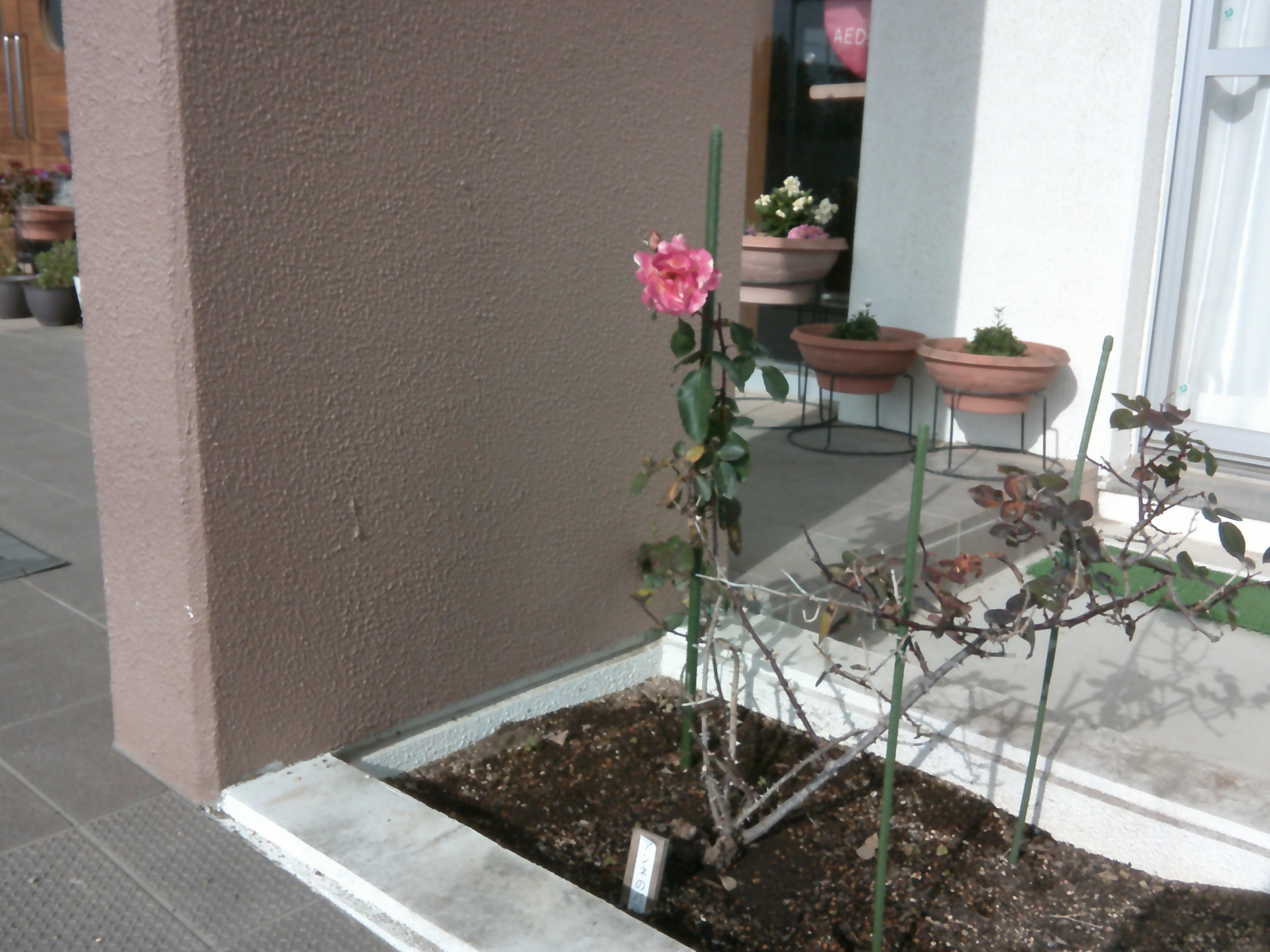 DSCF0032