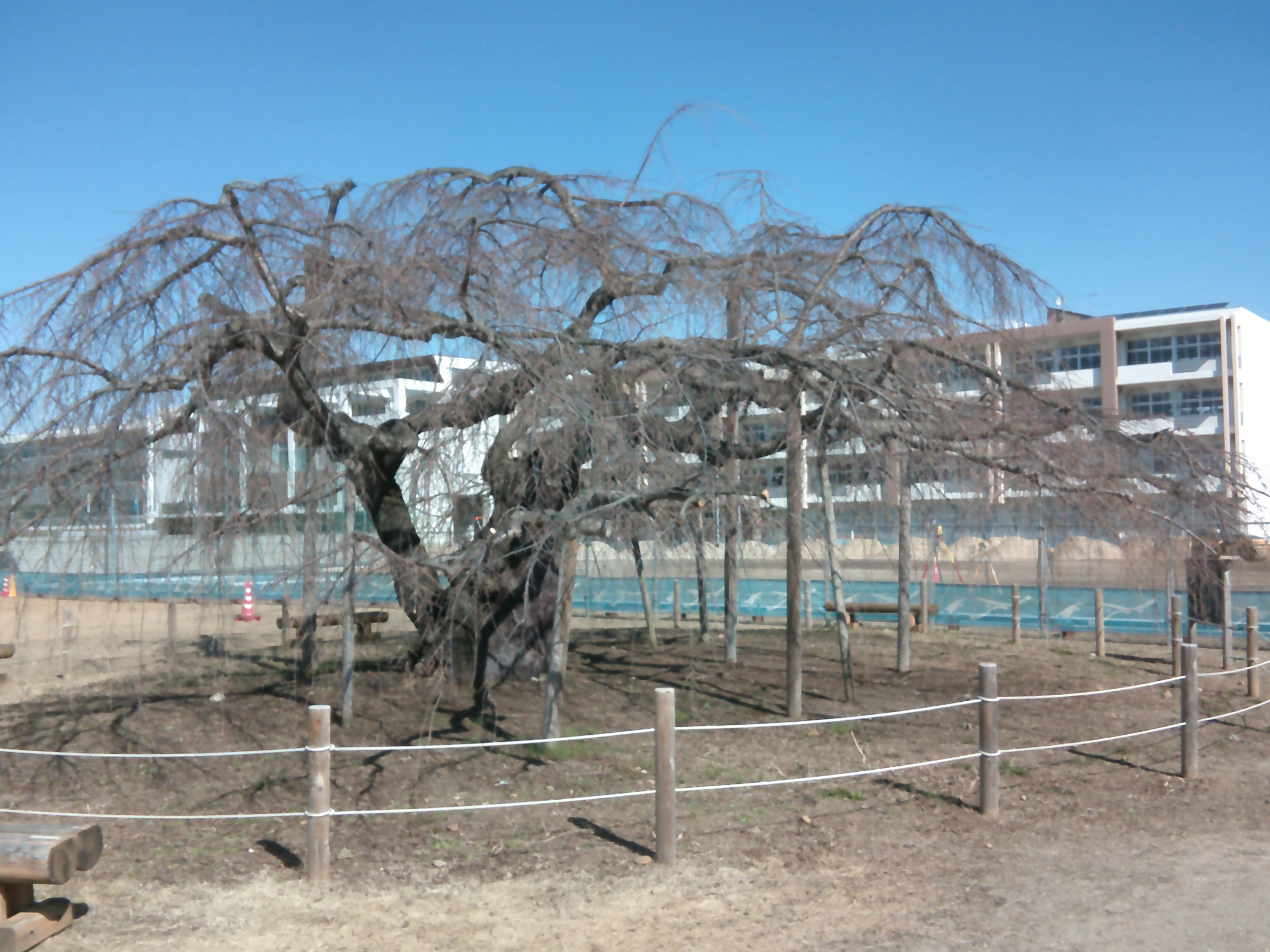 DSCF0011