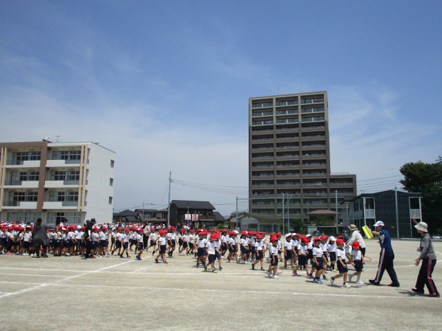 IMG_4382 IMG_4382