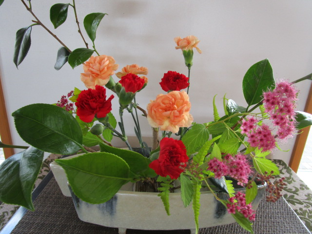 IMG_4398
